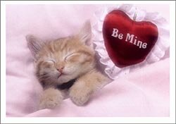 Myspace Love Comments